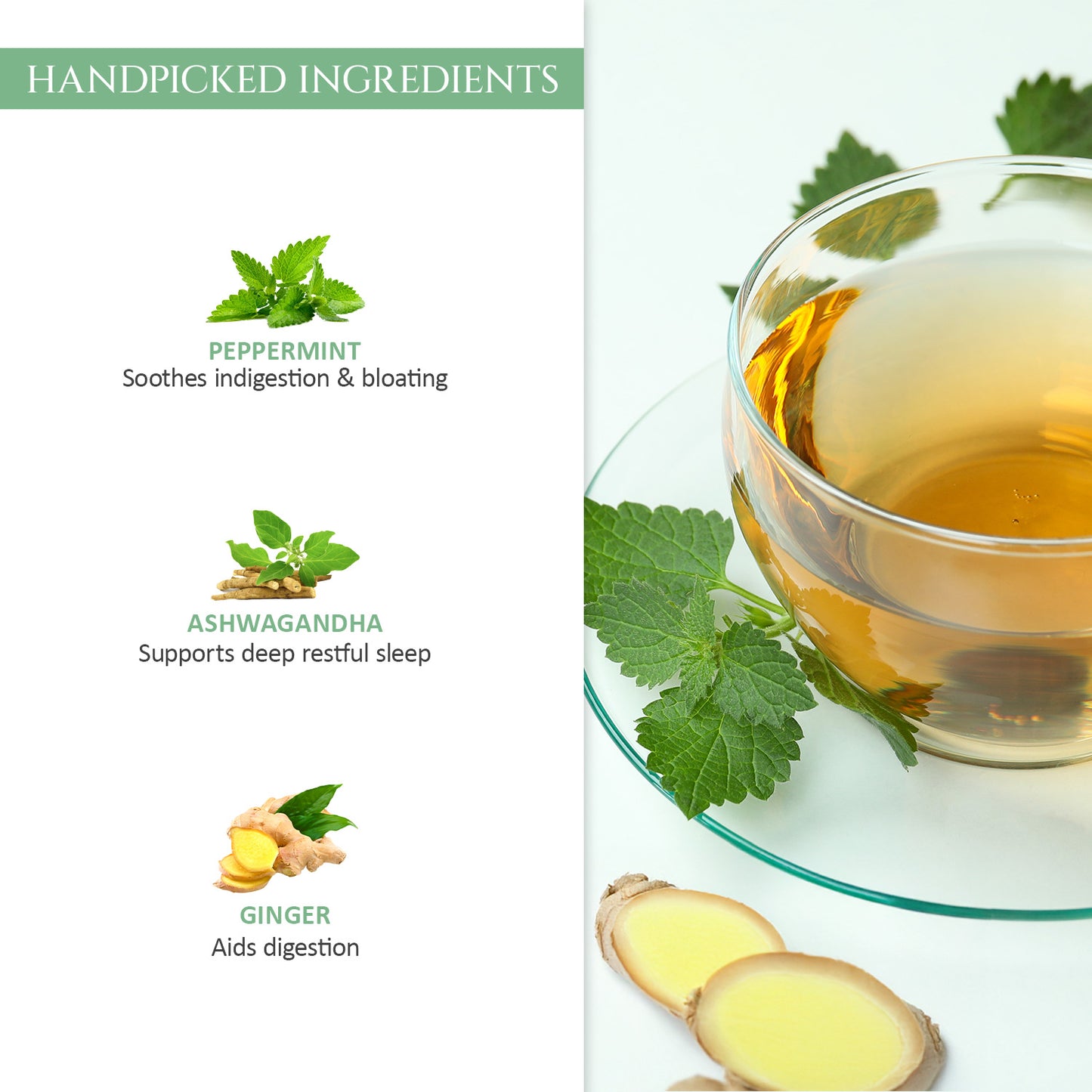 Peppermint Herbal Tea | Pack of 2 | Aids Digestion, Boost Focus | Rich in Anti Oxidants |  40 Teabags