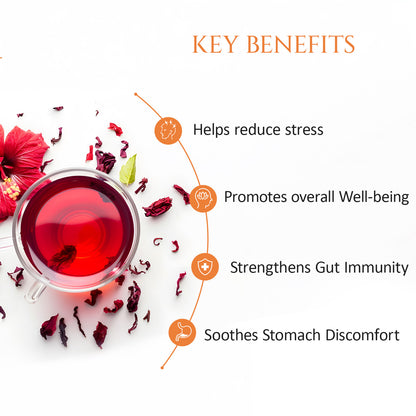 Digestive Tonic Tea | Pack of 2 | Improves digestion & Reduces Bloating | Lower Inflammation | 40 Teabags