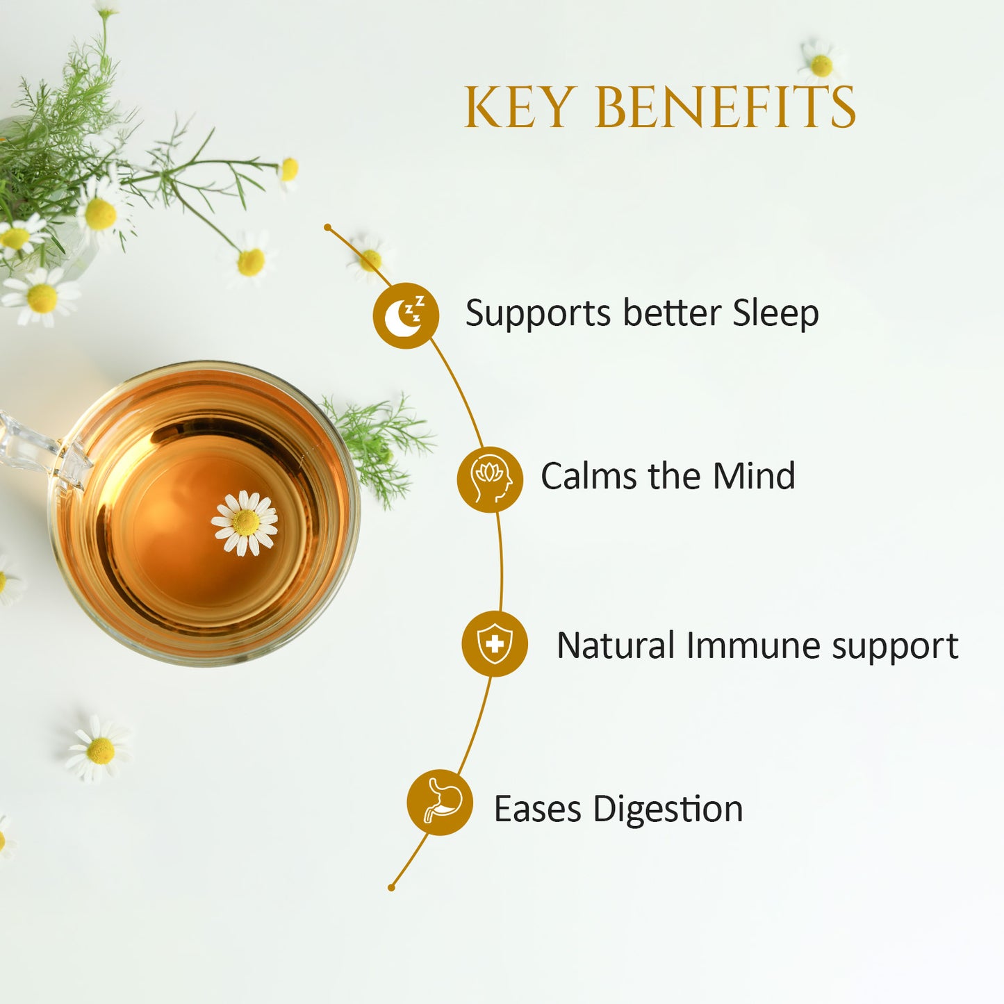Chamomile+ Deep Sleep Tea | Pack of 2 | Helps in Relaxing Body & Mind | Helps in Relaxation | 40 Teabags