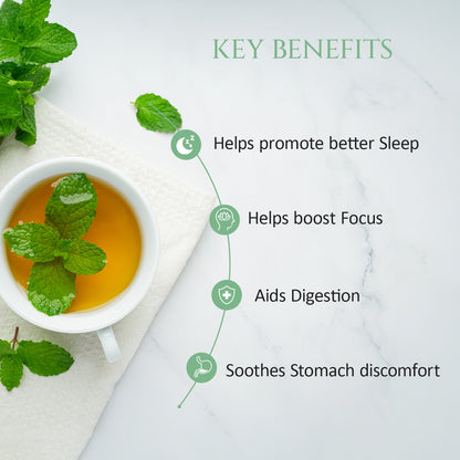 Peppermint Herbal Tea | Pack of 2 | Aids Digestion, Boost Focus | Rich in Anti Oxidants |  40 Teabags