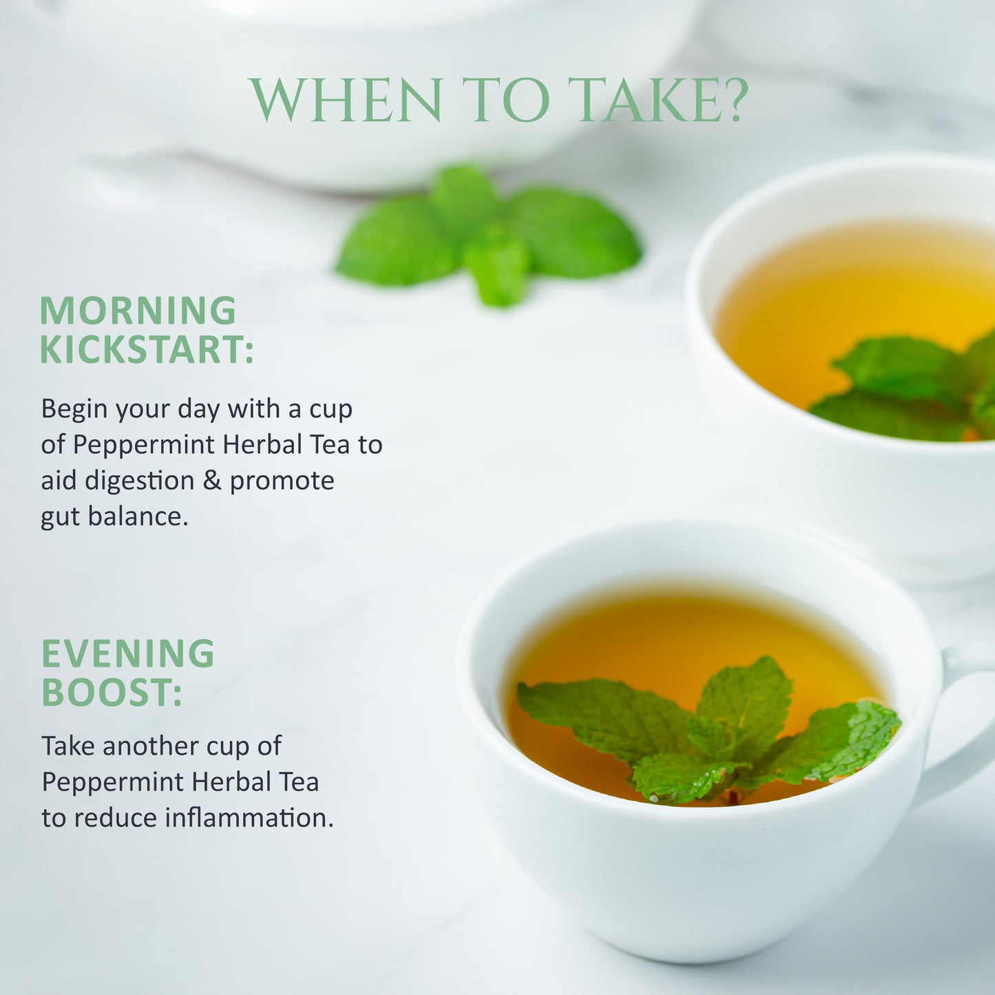 Peppermint Herbal Tea | Pack of 2 | Aids Digestion, Boost Focus | Rich in Anti Oxidants |  40 Teabags