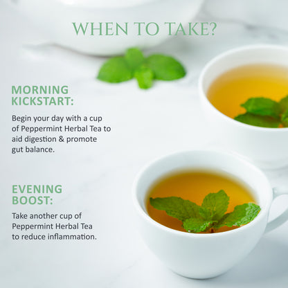 Peppermint Herbal Tea | Pack of 2 | Aids Digestion, Boost Focus | Rich in Anti Oxidants |  40 Teabags