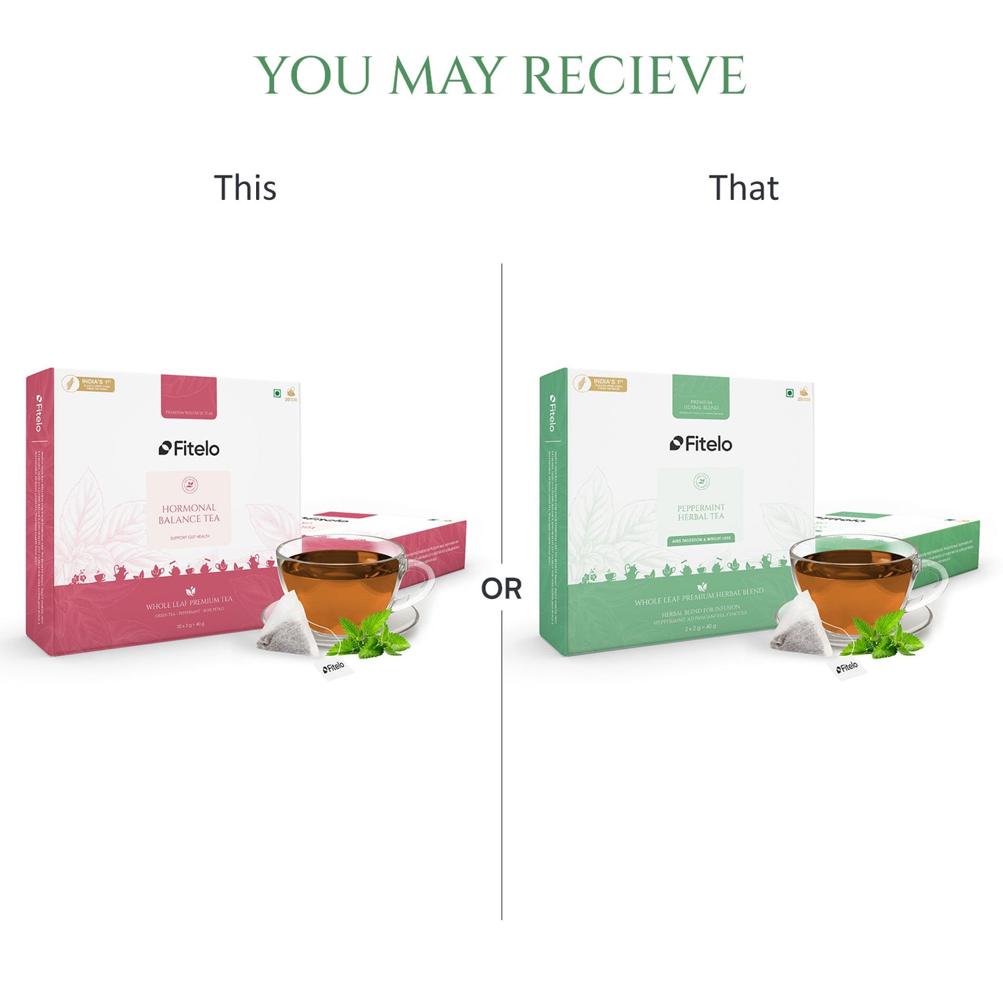 Peppermint Herbal Tea | Pack of 2 | Aids Digestion, Boost Focus | Rich in Anti Oxidants |  40 Teabags