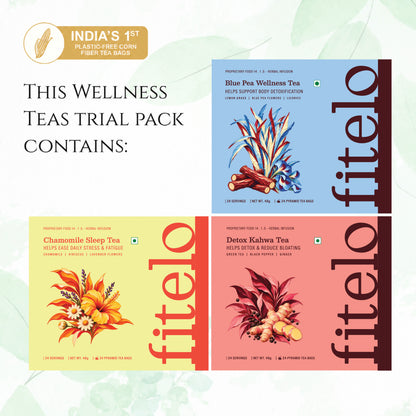 Wellness Teas Combo (Teabags) | Pack of 2 | 84 Teabags