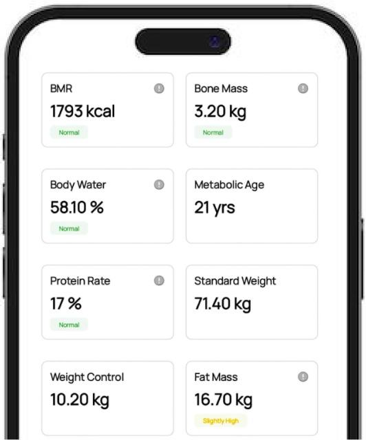 Precise Body Metrics