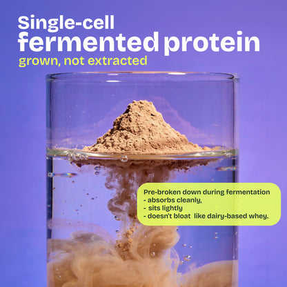 Fitty Fermented Yeast Protein | 25g Protein | 7 Added Supplements | 500 gm