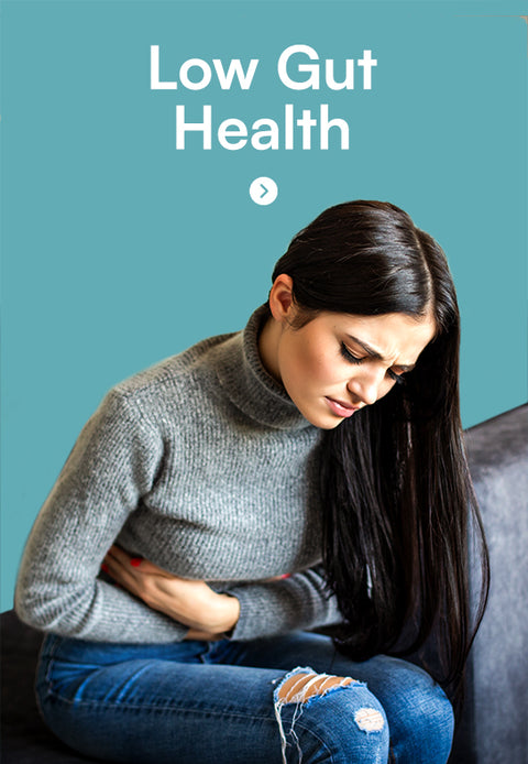 Low Gut Health